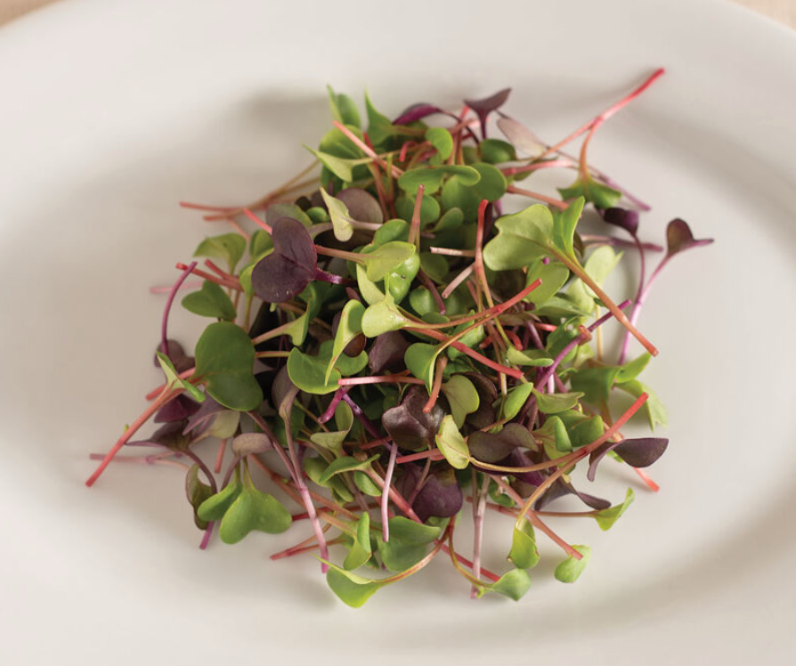 Radish Confetti Mix Microgreen
