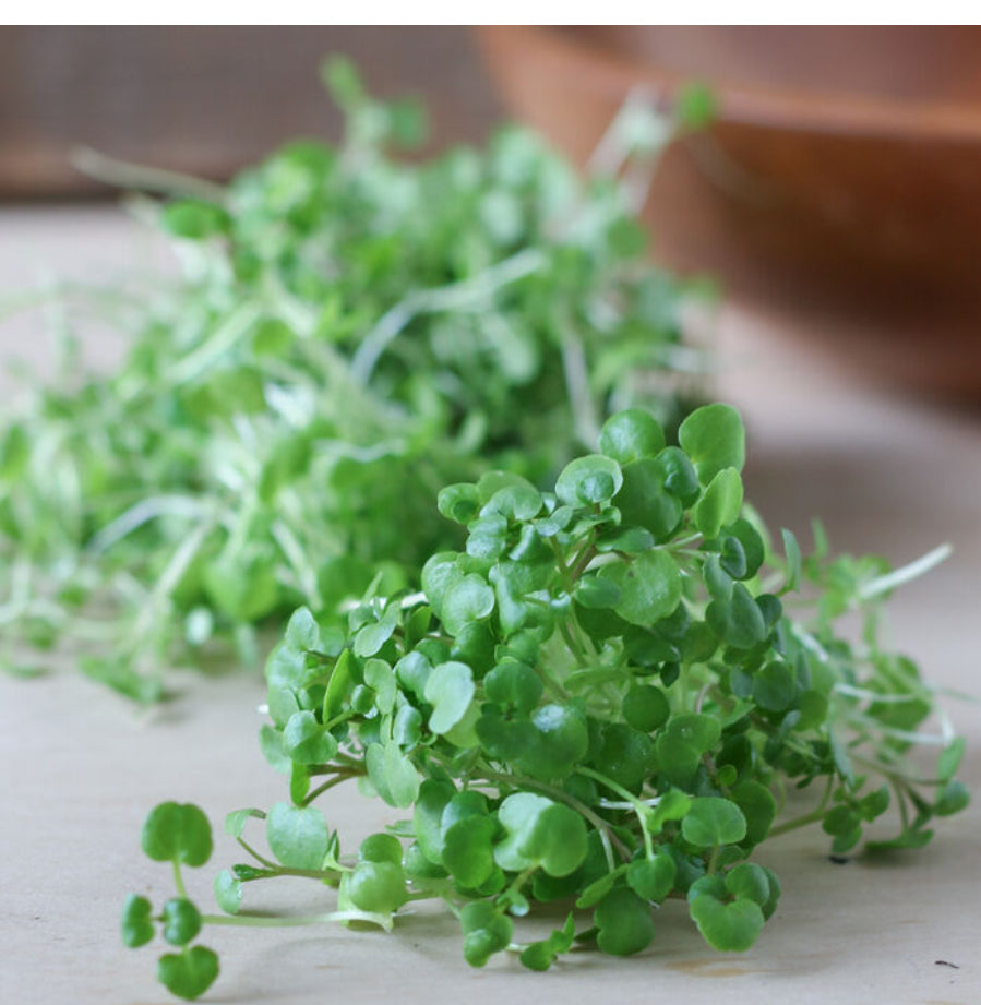 Watercress