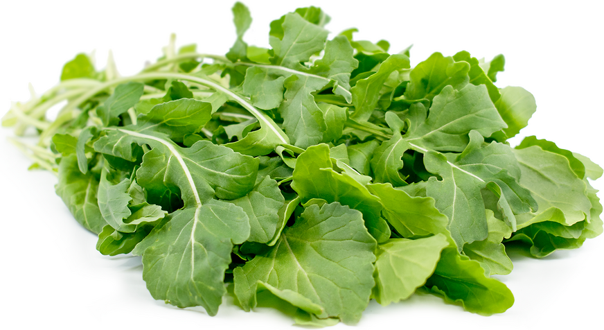 Wasabi Arugula
