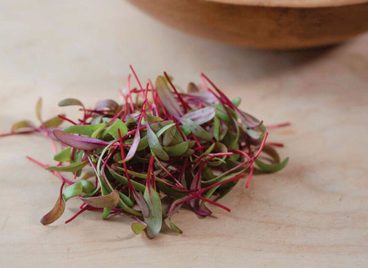 Beet, Red Leaf