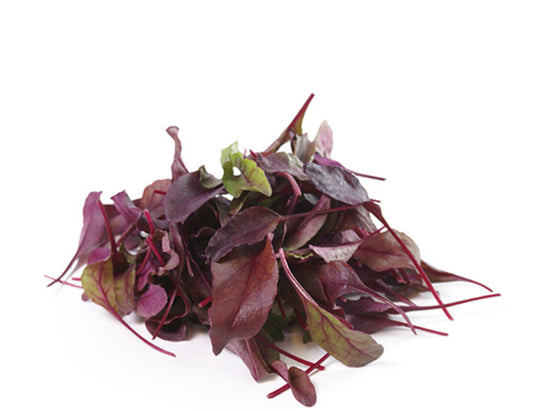 Micro greens Bulls Blood